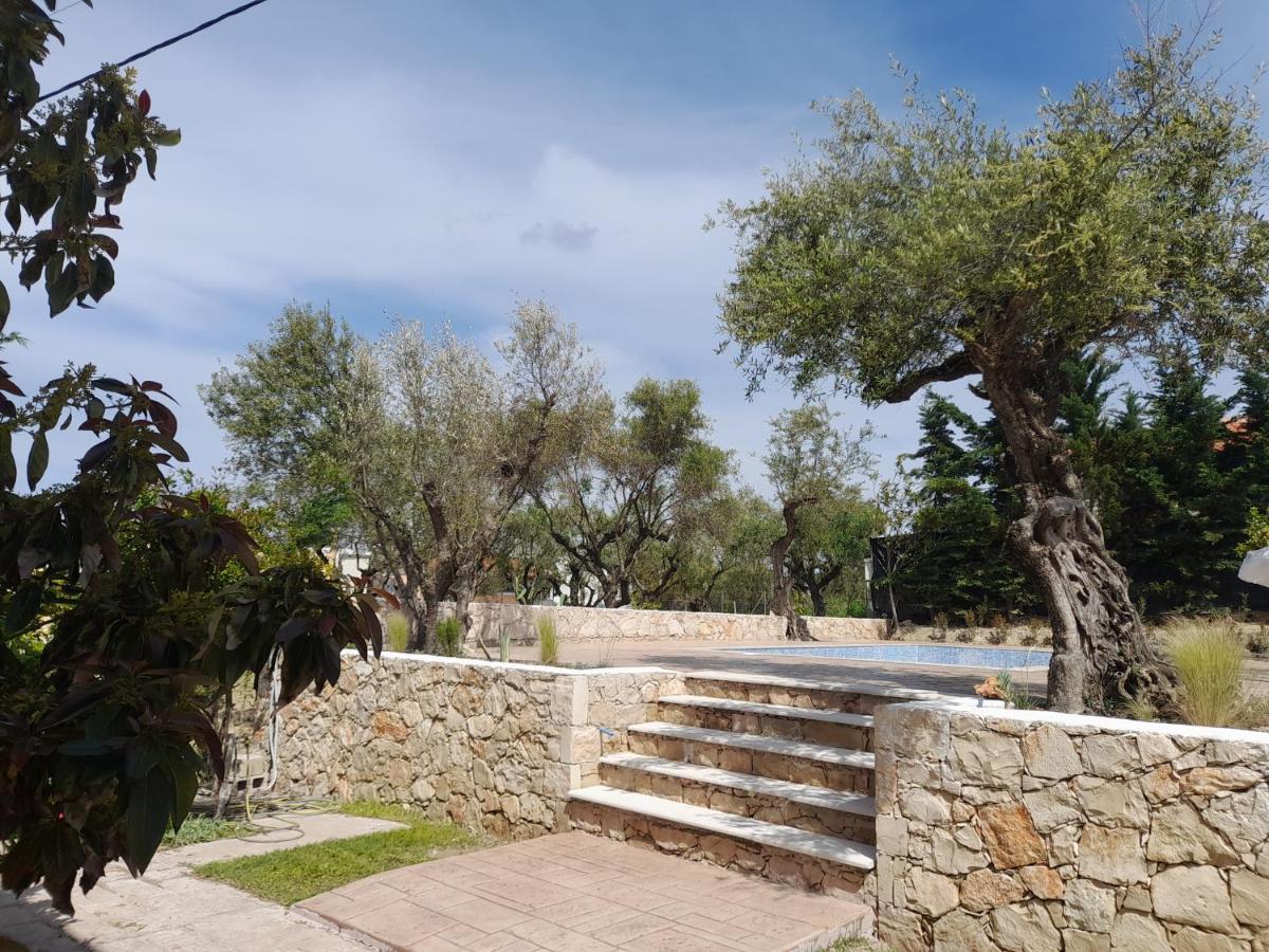 ארגאסי Nissi Collection Rooms מראה חיצוני תמונה